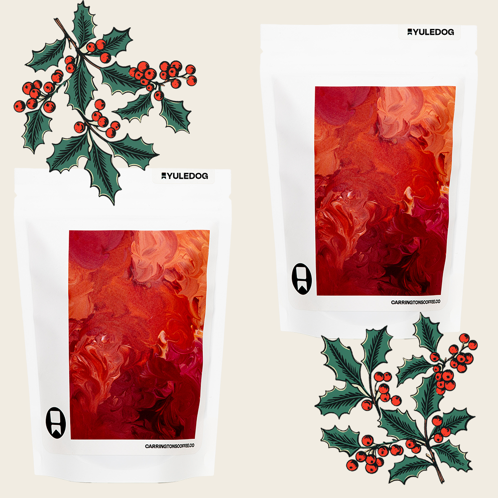 Festive Bundles